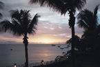 View490