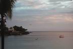 View493