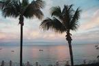 View494