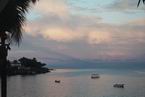 View495